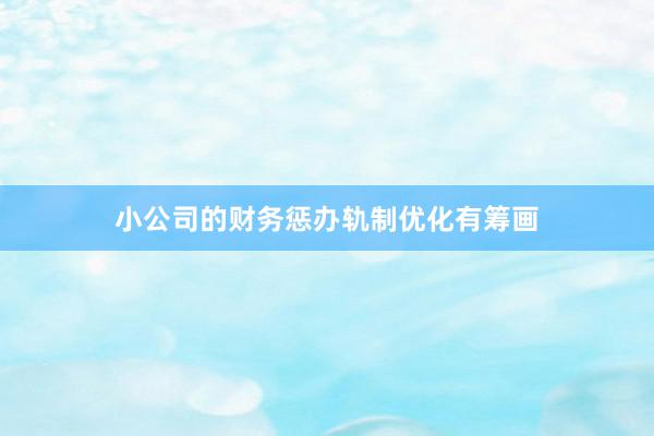 小公司的财务惩办轨制优化有筹画