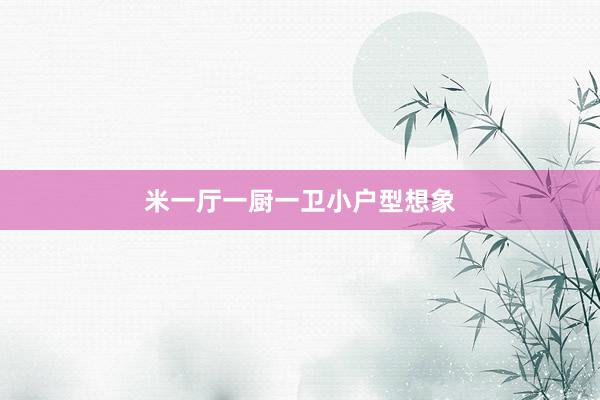 米一厅一厨一卫小户型想象